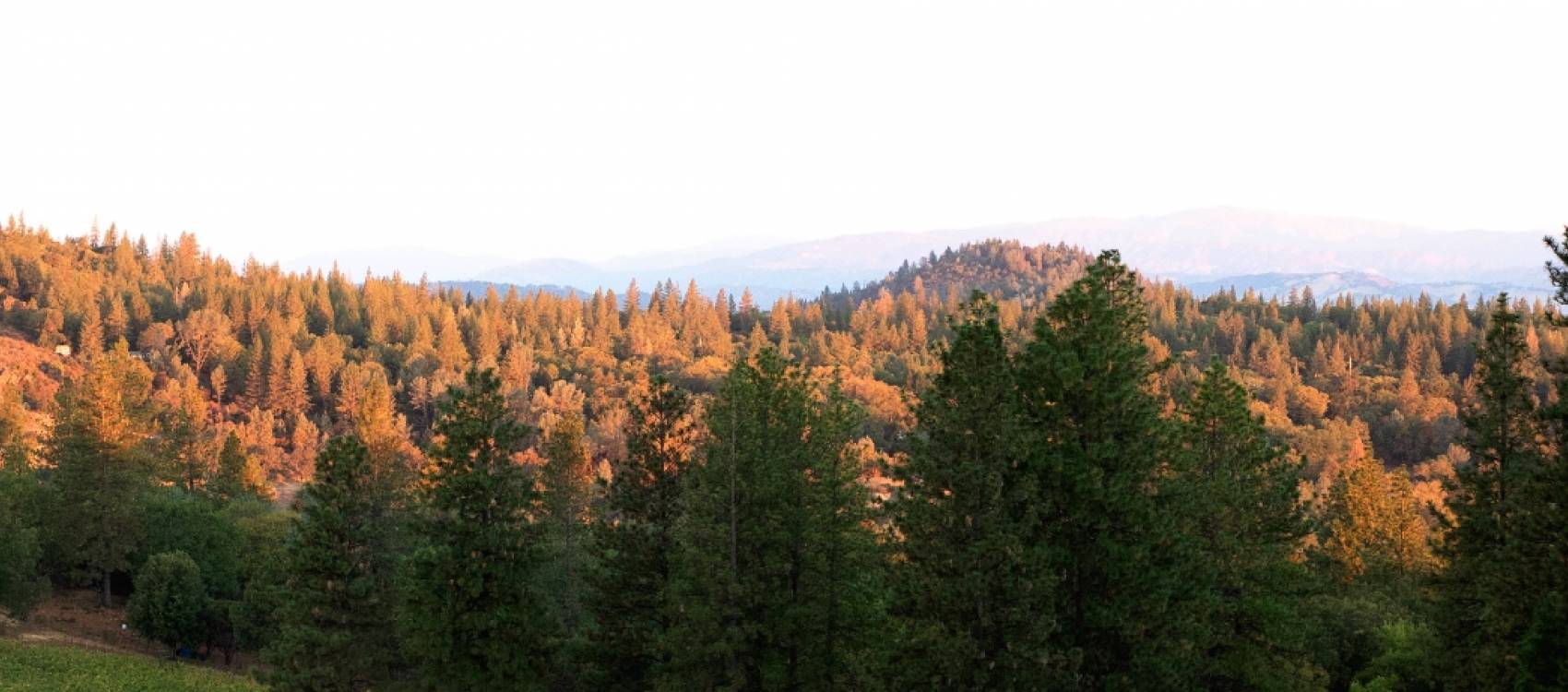 News Hero Winery Landscape