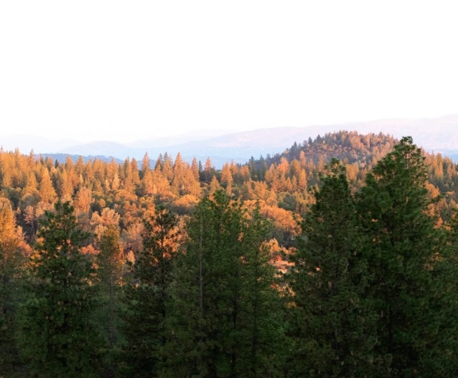 News Hero Winery Landscape